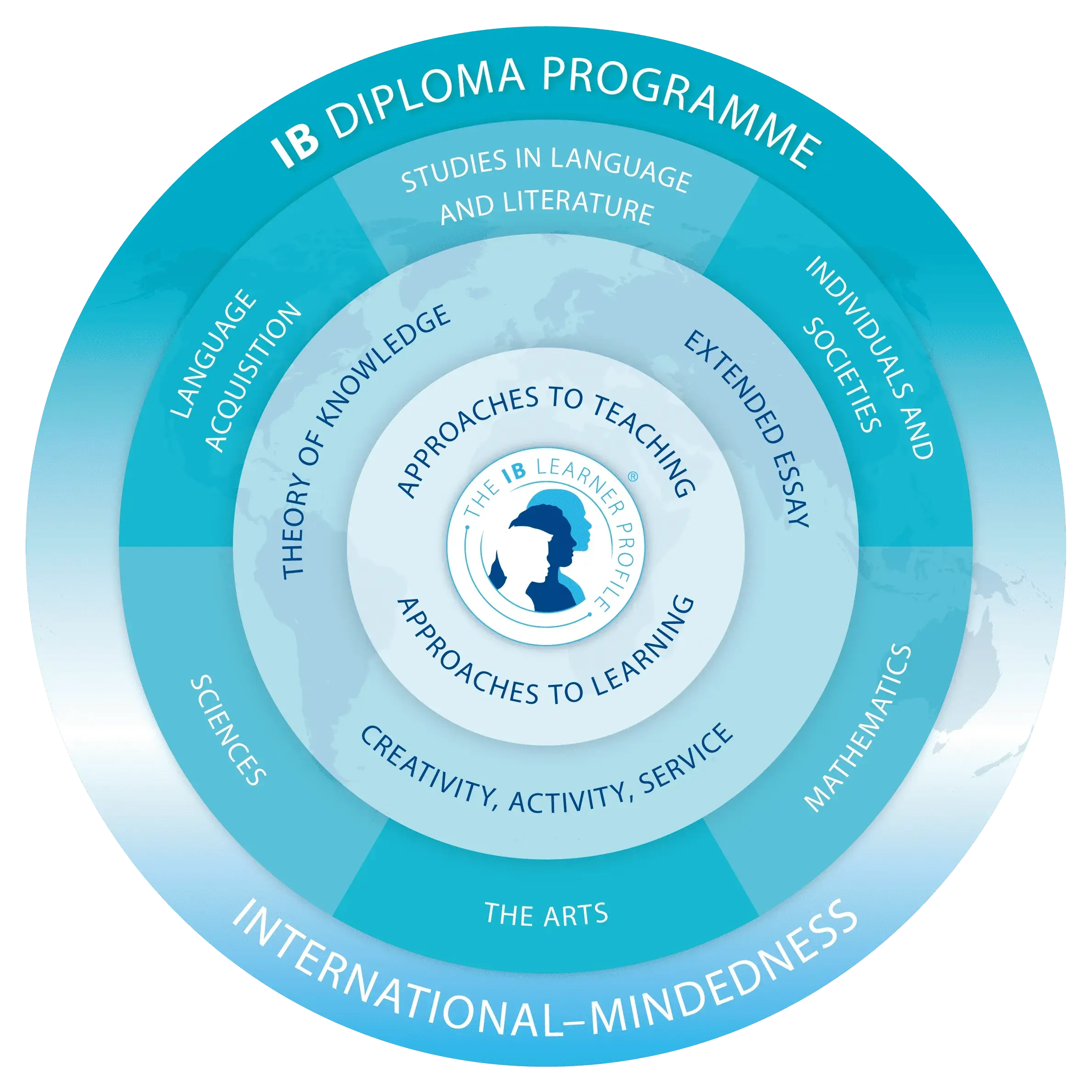 DP Programme Model